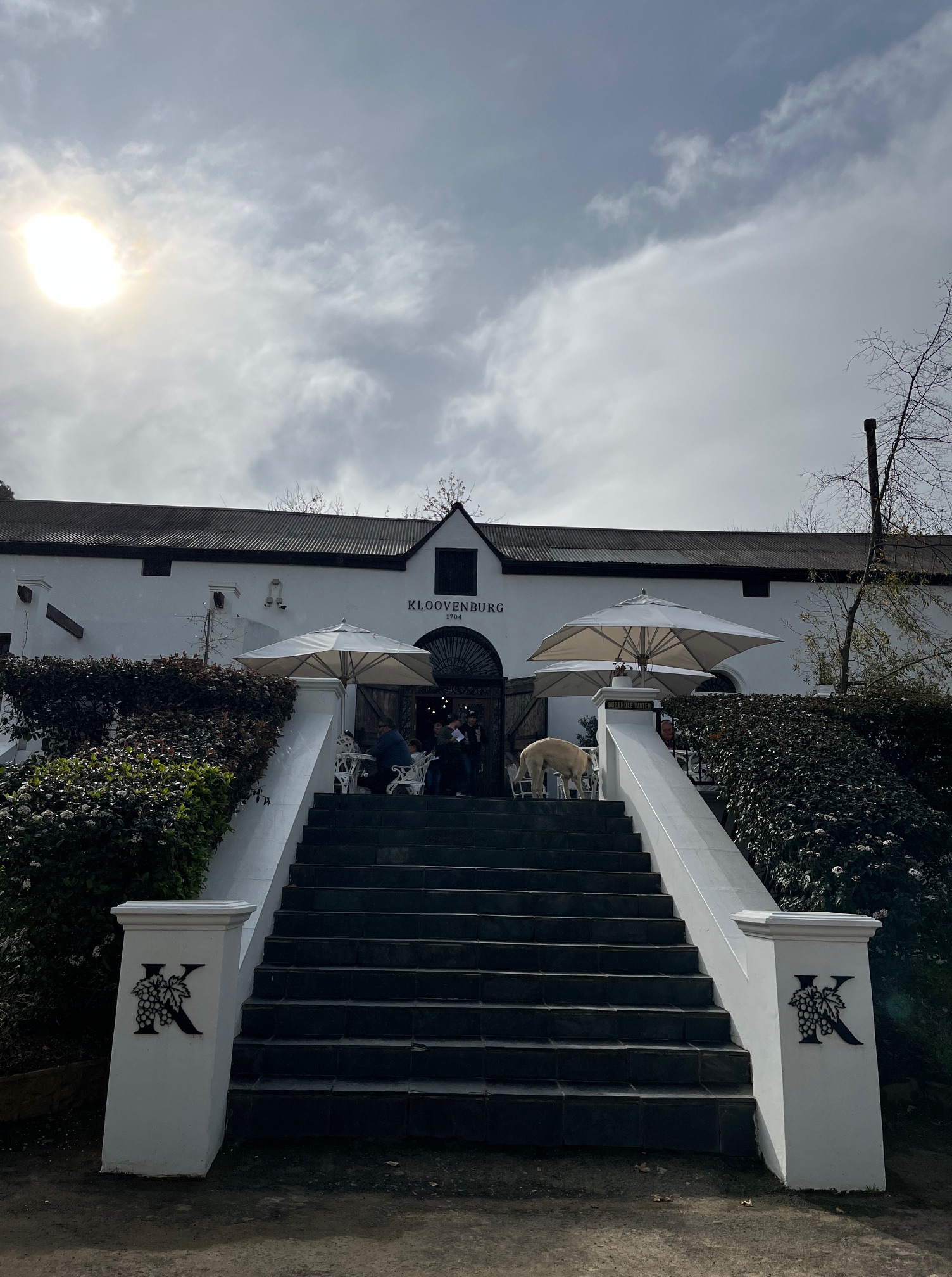 Kloovenburg Wine & Olive Estate: A Hidden Gem in Swartland
