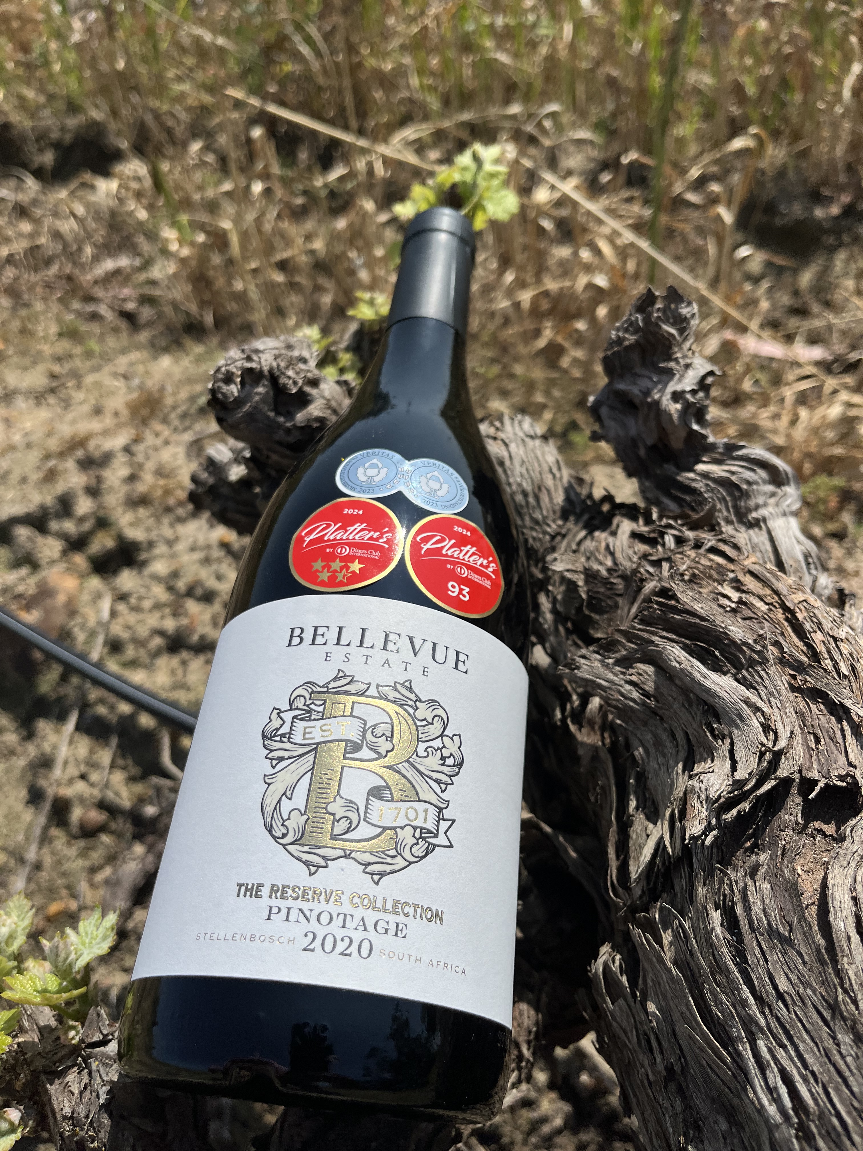 Bellevue Wine Estate: A Legacy of&nbsp;Pinotage