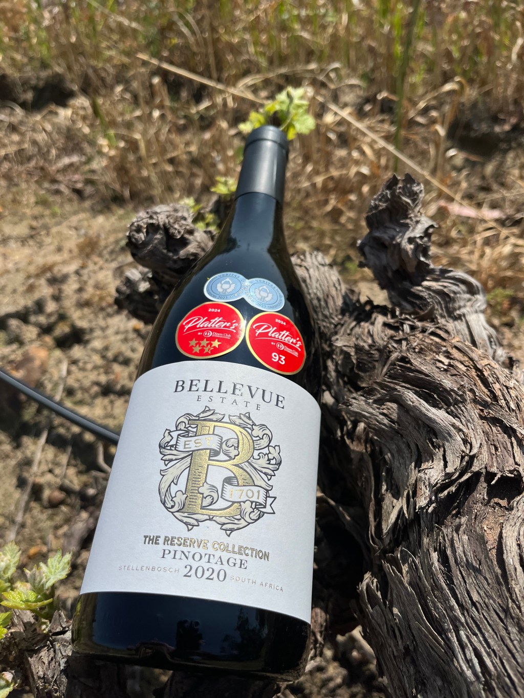 Bellevue Wine Estate: A Legacy of&nbsp;Pinotage