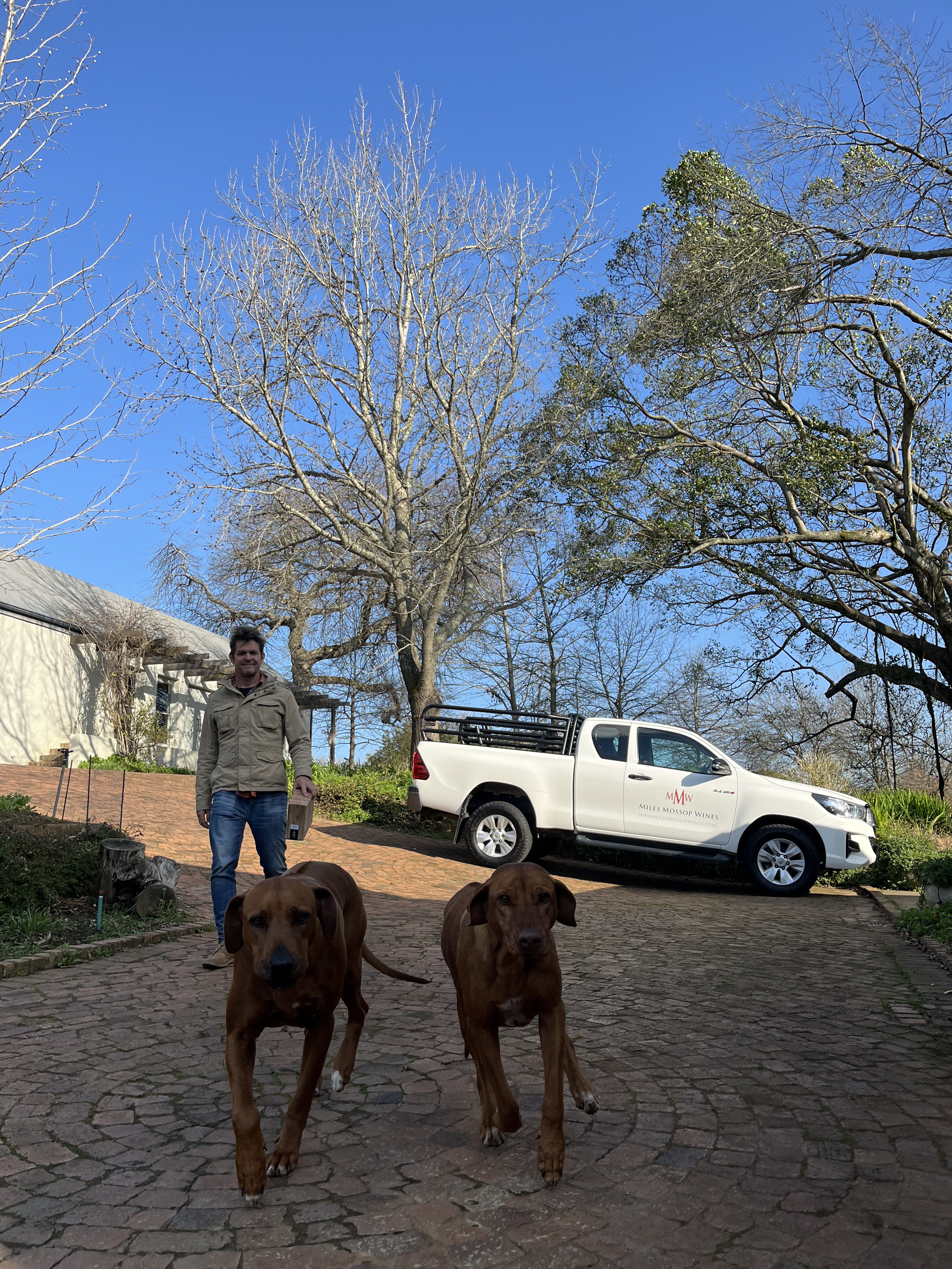 The Essence of Cape Whites: Miles Mossop’s&nbsp;Masterpiece