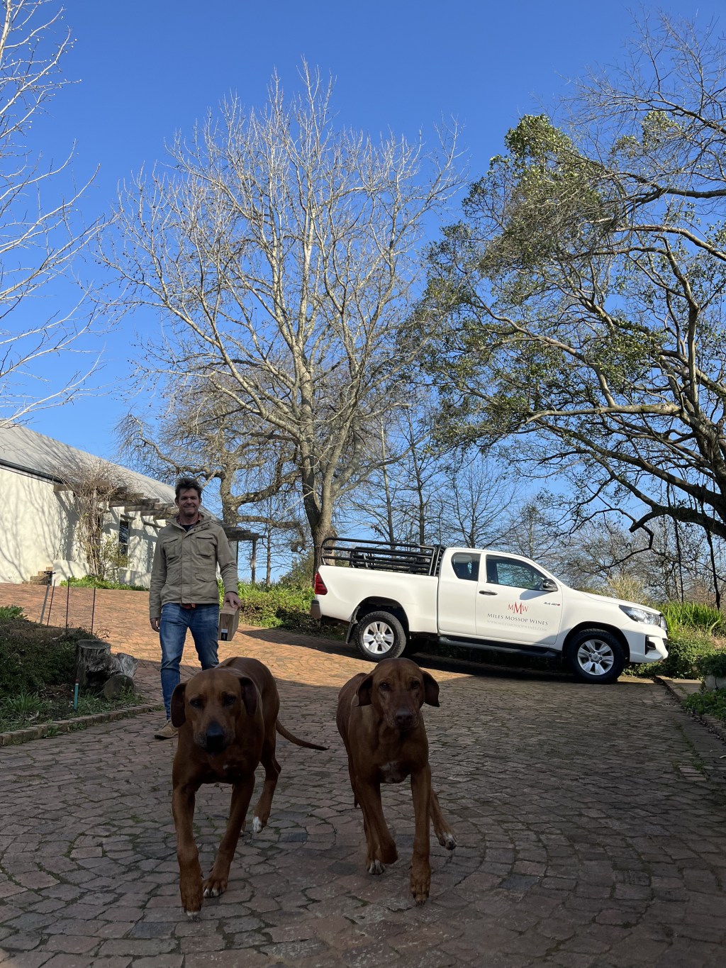 The Essence of Cape Whites: Miles Mossop’s&nbsp;Masterpiece