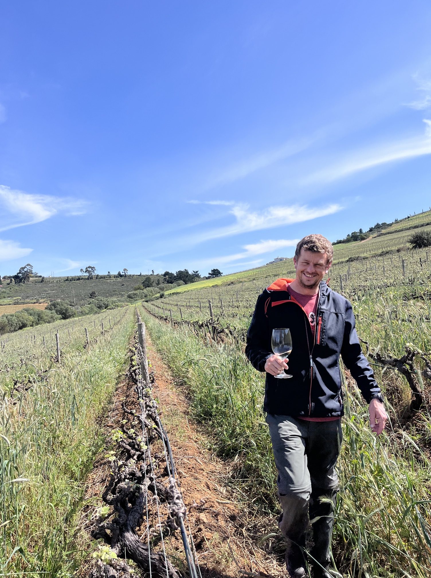 The Italian Job That Led Me to Meinert